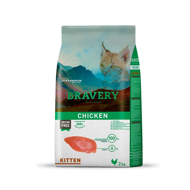 bravery-chicken-kitten-1